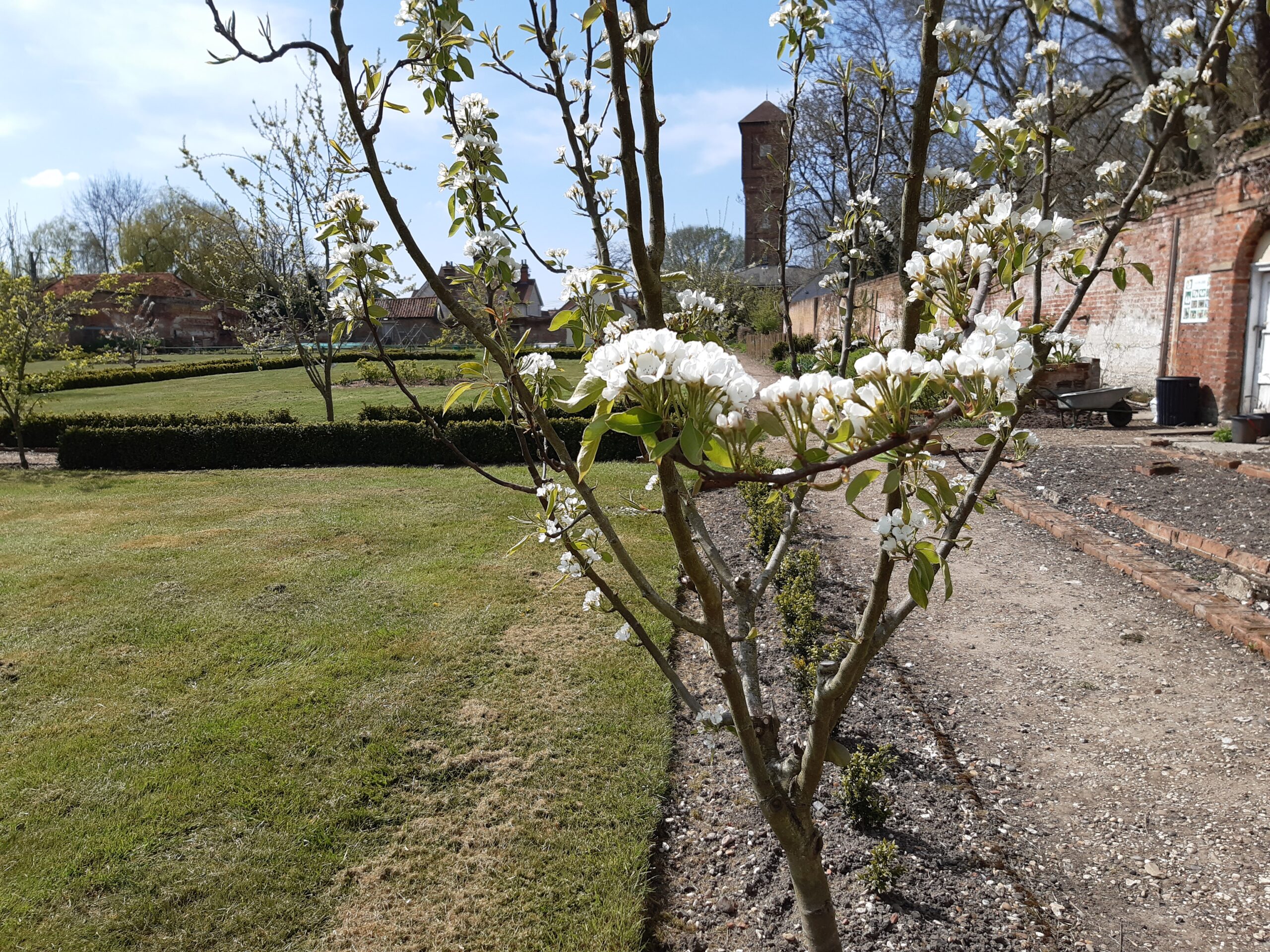 April Open Day: Blossom Day